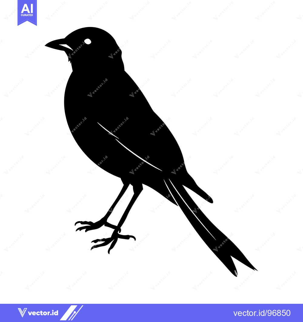 Premium Vector of Black and White Silhouette of a Bird with a Long Tail