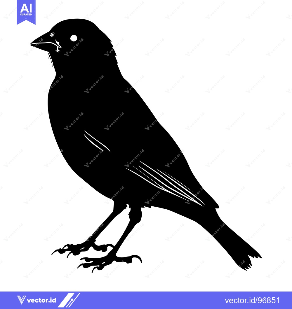 Premium Vector dari Black Silhouette of a Bird with Sharp Claws