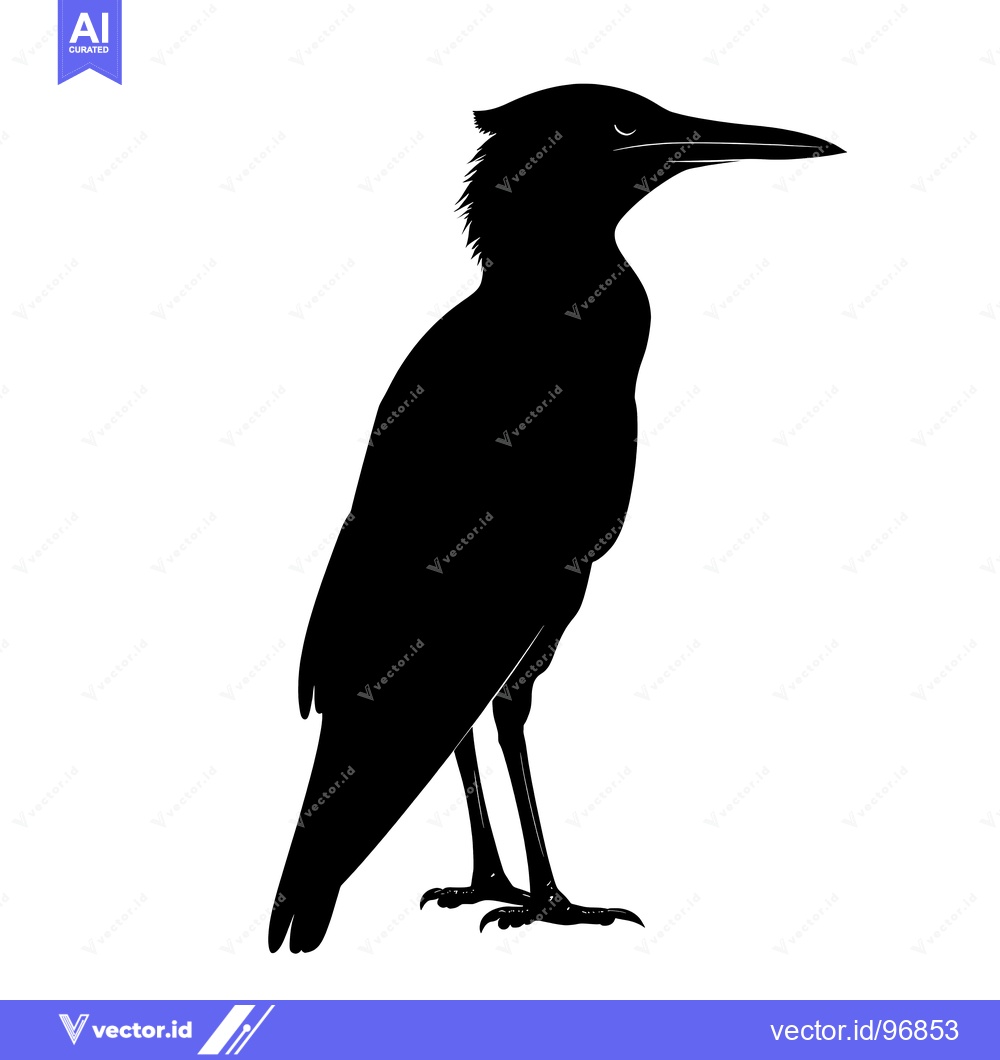 Premium Vector of Black and White Silhouette of a Bird with a Long Beak