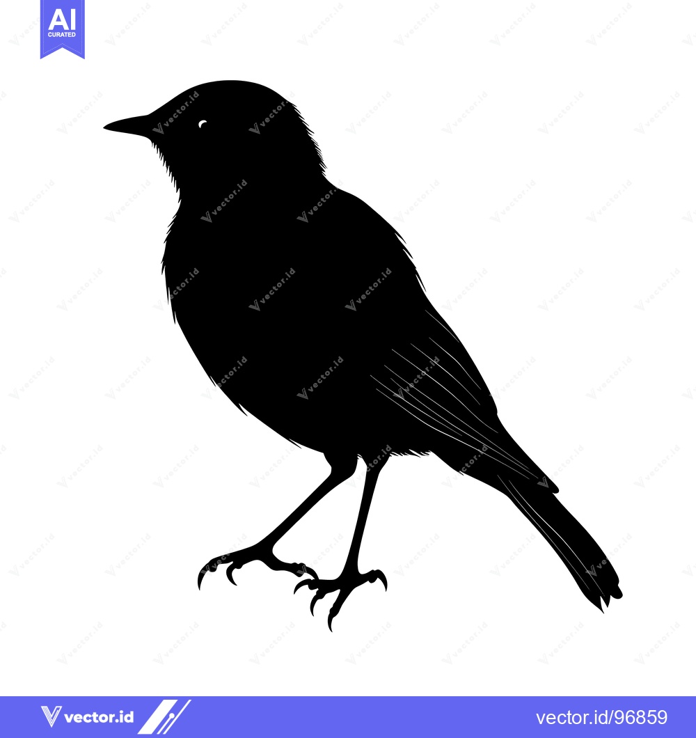 Premium Vector of Black and White Silhouette of a Bird with Talons