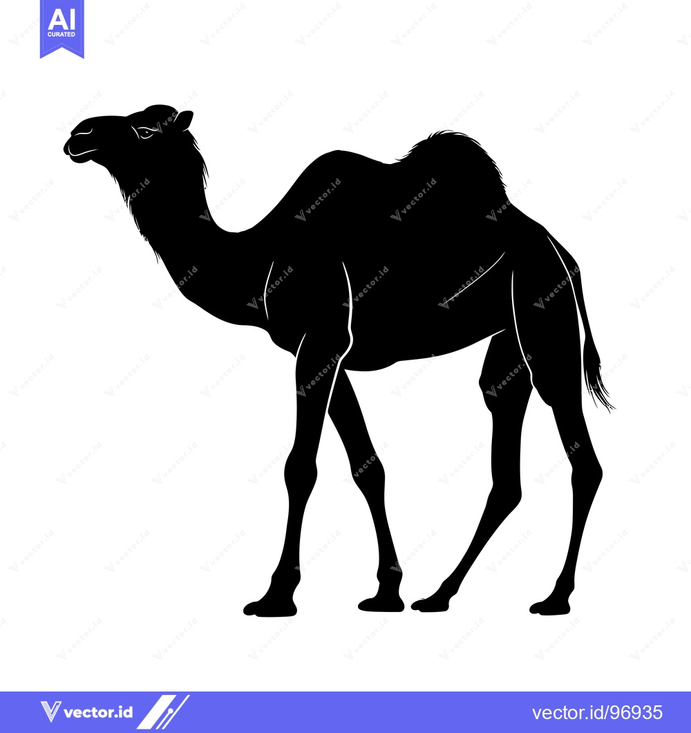 Premium Vector of Silhouette of a Camel Standing Proudly Against a White Background.