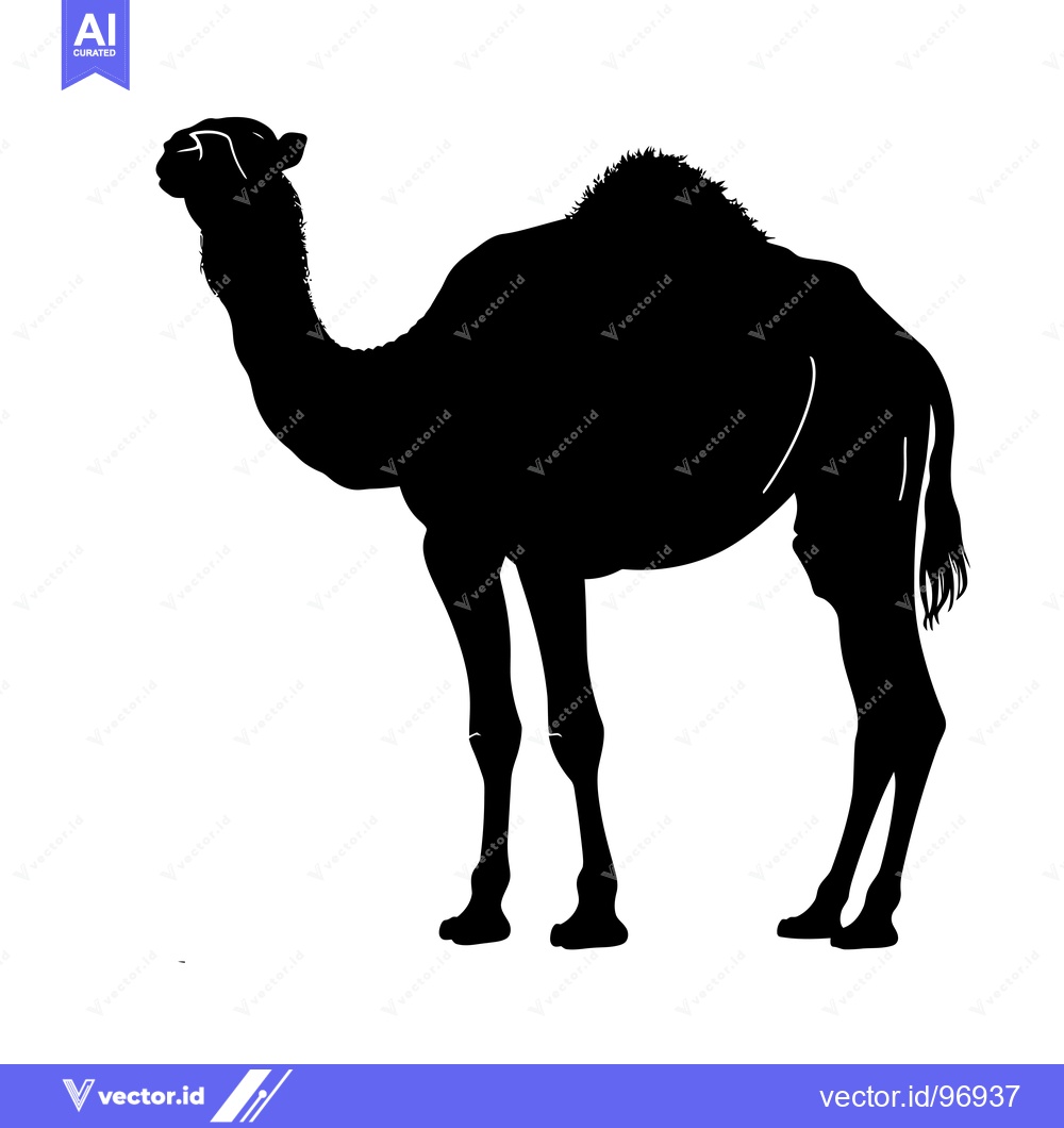 Premium Vector dari Silhouette of a Camel Standing Against a White Background.