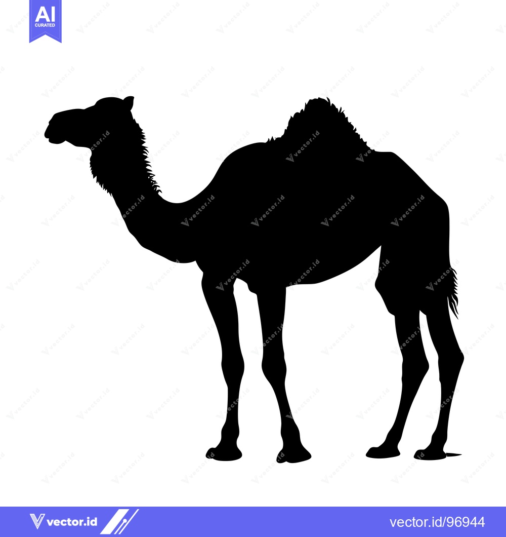 Premium Vector dari Silhouette of a Camel Standing in Profile Against a White Background.