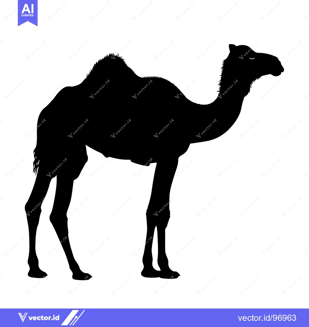 Premium Vector dari Silhouette of a Camel Standing Against a White Background.