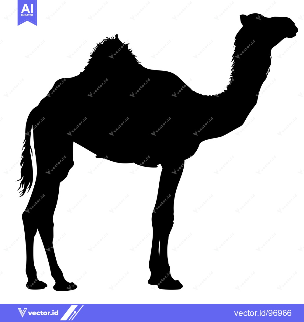 Premium Vector dari Silhouette of a Dromedary Camel Standing Profile View.