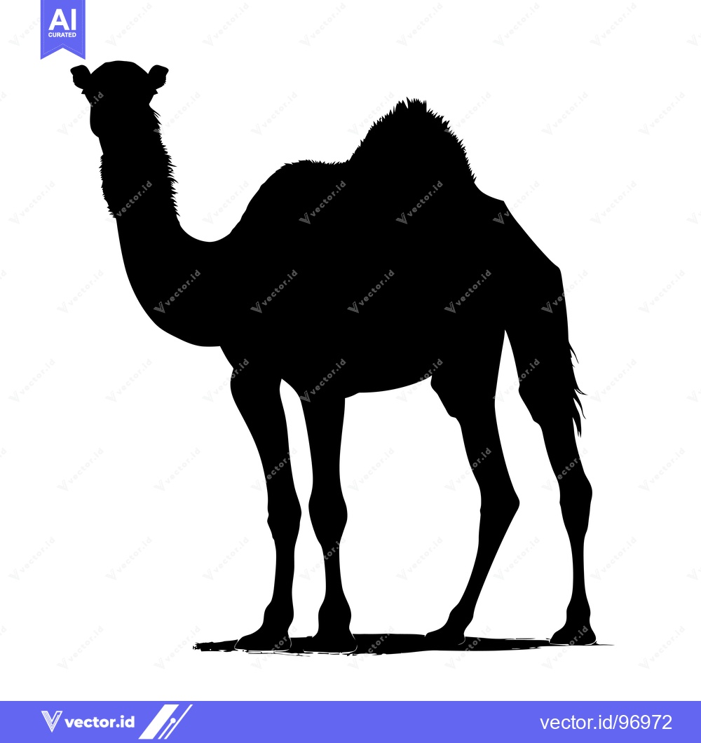 Premium Vector of Silhouette of a Camel Standing on a White Background.