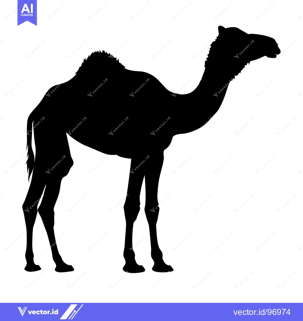 Premium Vector dari Silhouette of a Camel Standing Against a White Background.