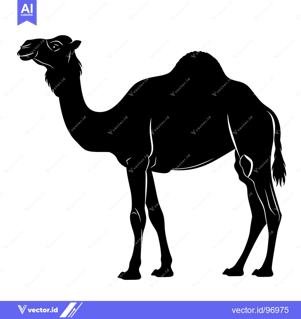 Premium Vector dari Silhouette of a Camel Standing in Profile.