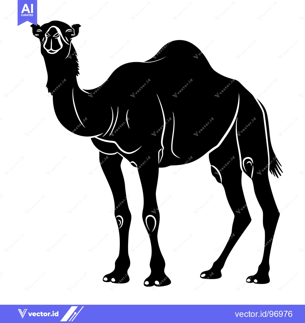 Premium Vector of Silhouette of a Camel Standing Proudly in the Desert.