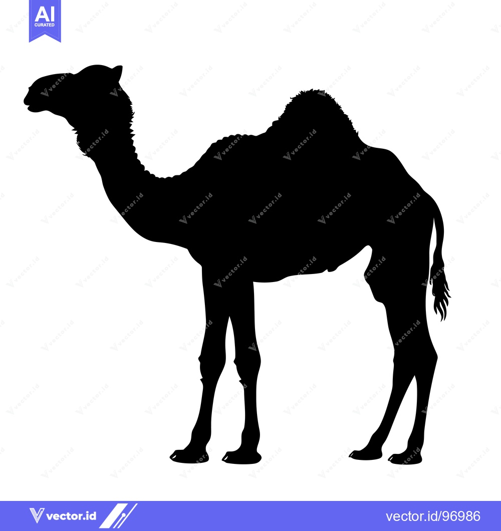 Premium Vector dari Silhouette of a Camel Standing in Profile.