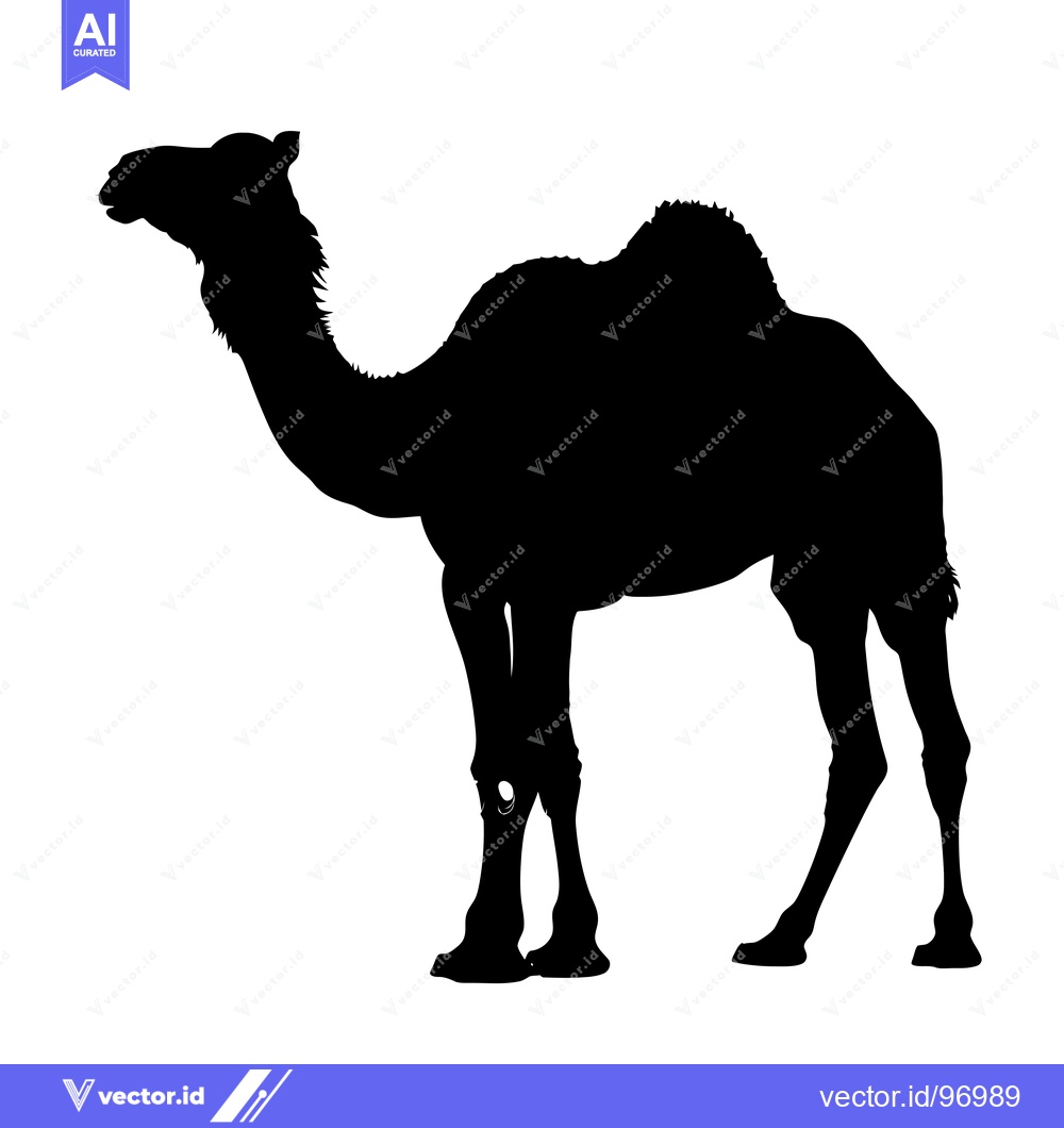 Premium Vector dari Silhouette of a Camel Standing in Profile.