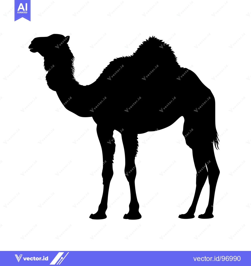 Premium Vector dari Silhouette of a Camel Standing Against a White Background.
