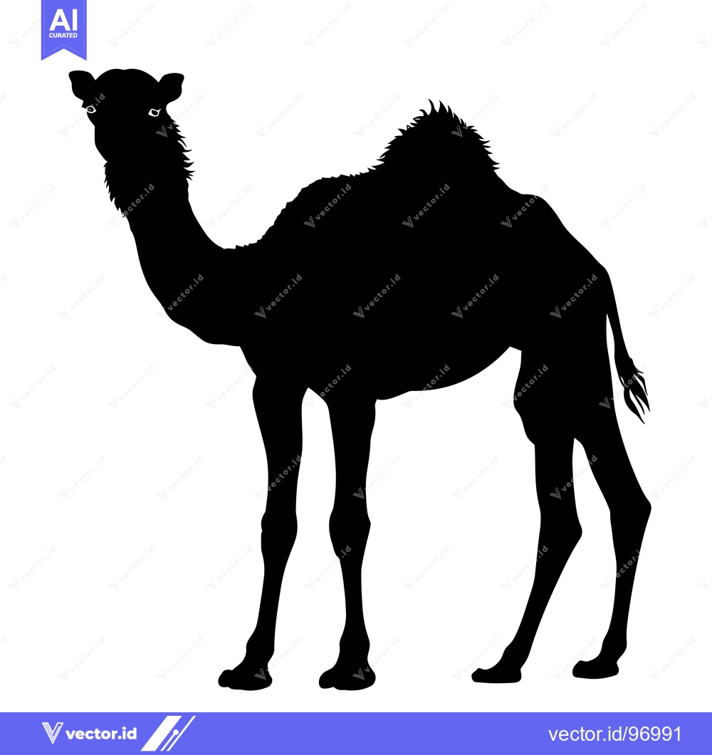 Premium Vector of Silhouette of a Camel Standing Proudly in the Desert.