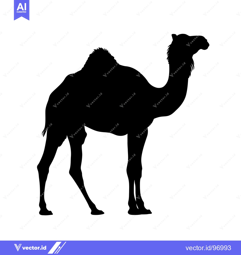 Premium Vector dari Silhouette of a Camel Standing Proudly in the Desert.