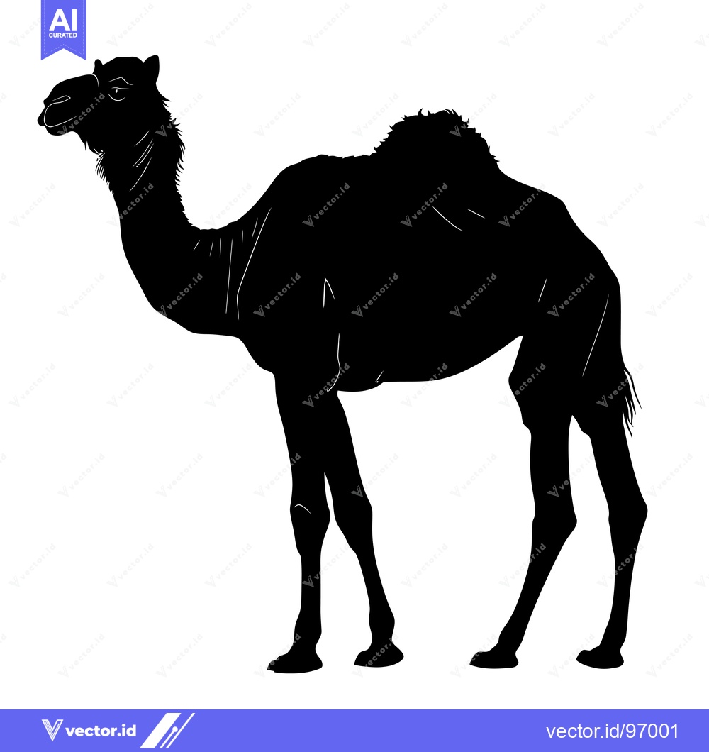 Premium Vector dari Silhouette of a Camel Standing in Profile.