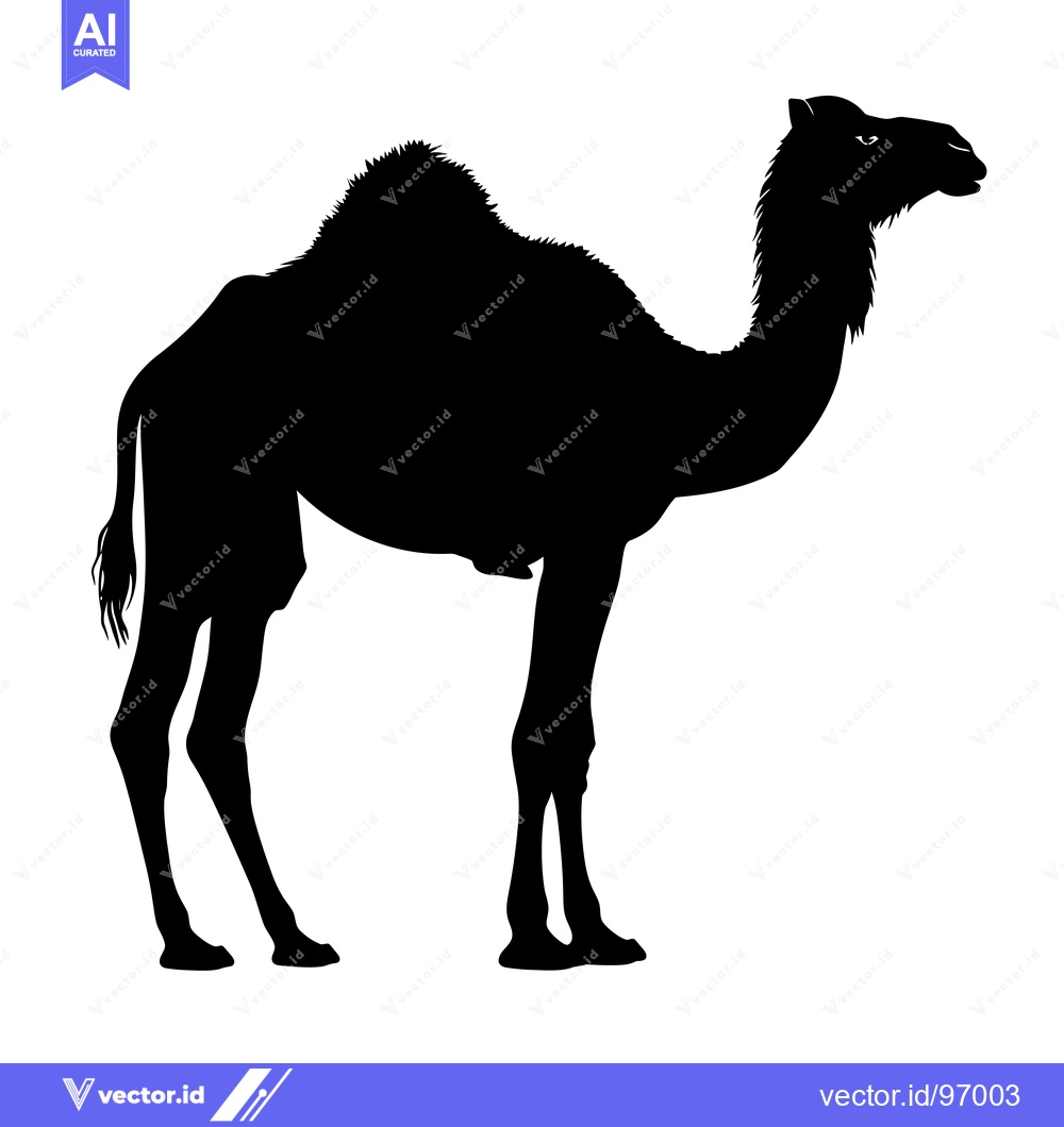 Premium Vector dari Silhouette of a Dromedary Camel Standing Profile View.