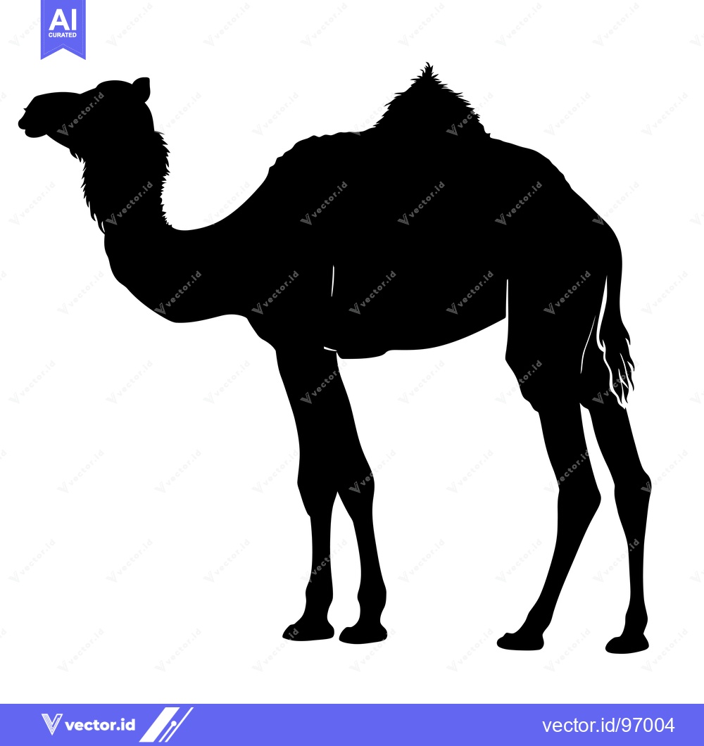 Premium Vector dari Silhouette of a Dromedary Camel Standing Still.