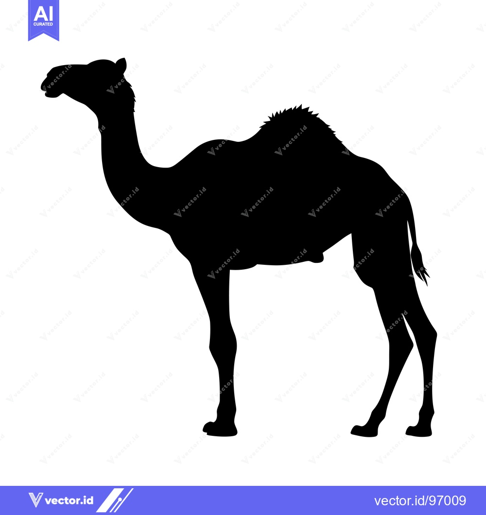 Premium Vector dari Silhouette of a Camel Standing Against a White Background.
