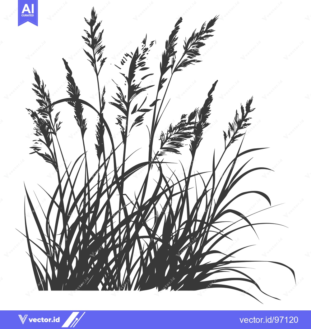 Premium Vector of Silhouetted Tall Grass with Long Blades