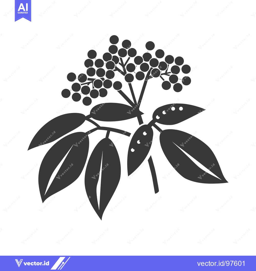 Premium Vector of Silhouette of a branch of elderflower with berries and leaves