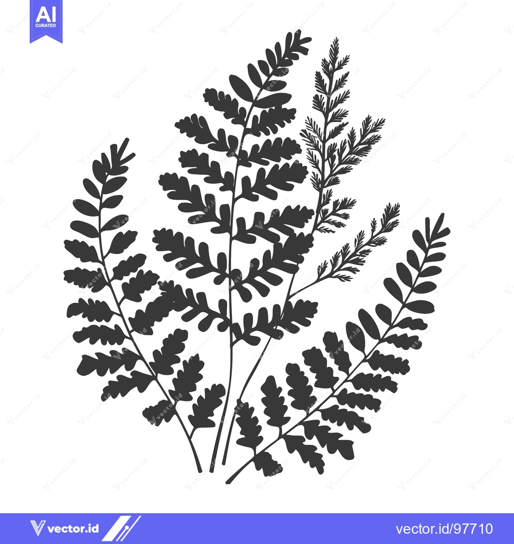 Premium Vector dari Silhouette of a cluster of fern leaves and stems