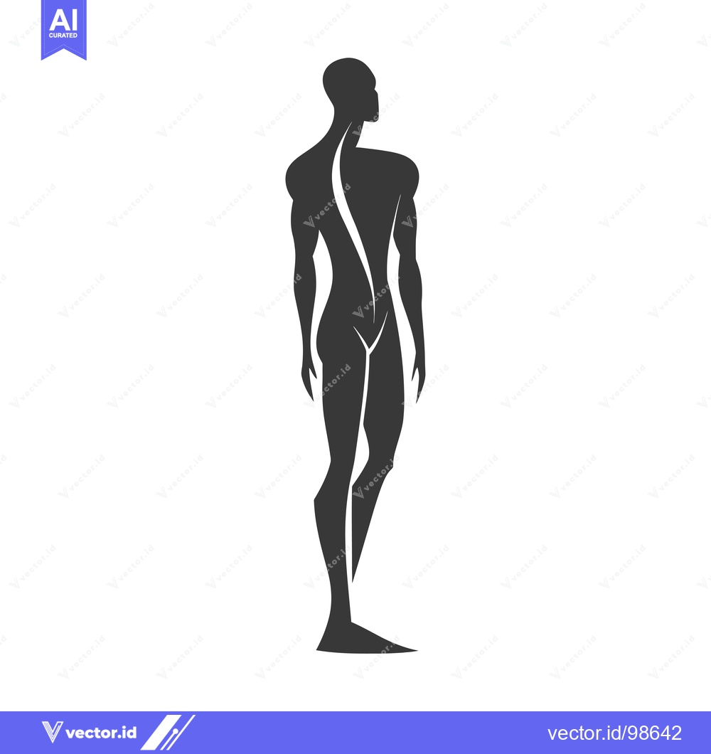 Premium Vector of Silhouette of a Muscular Man Standing with Spine Visible
