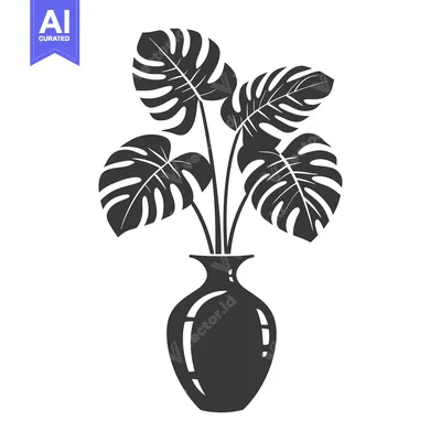 Silhouette of Monstera Plant in a Vase