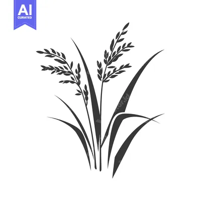 Aset premium populer: Silhouette of Rice Plants with Grains