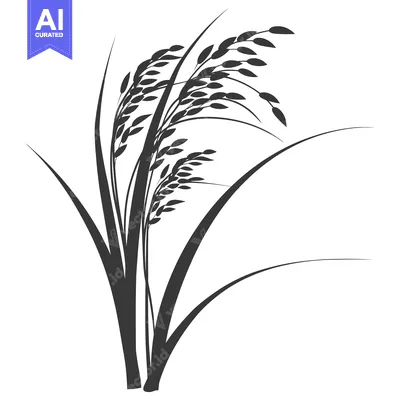Aset premium populer: Silhouette of Rice Plant with Grains