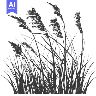 Aset desain premium: Silhouette of Tall Grass and Blades