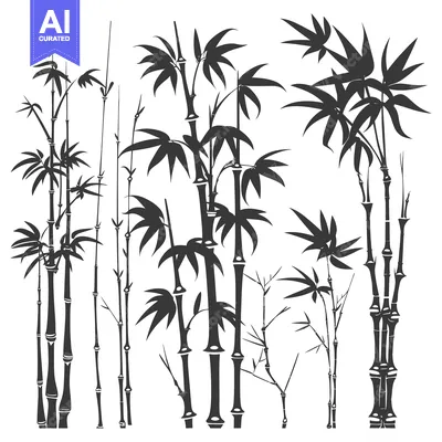 Popular premium asset: Silhouette of Various Bamboo Plants with Leaves