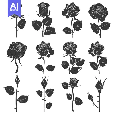 Aset premium populer: Silhouette Set of Roses in Different Stages of Bloom