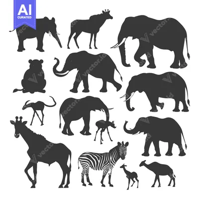 Silhouettes of African Animals with an Emphasis on Elephants