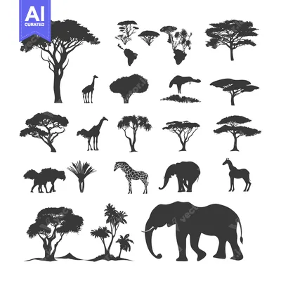 Silhouettes of African Trees, Animals, and Plants