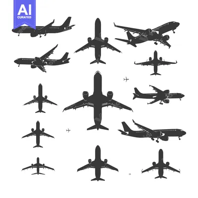 Popular premium asset: Silhouettes of Airplanes in Flight and Landing