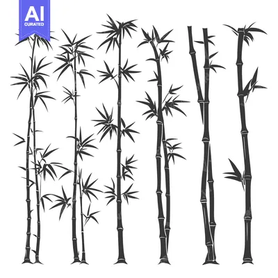 Silhouettes of Different Styles of Bamboo Plants