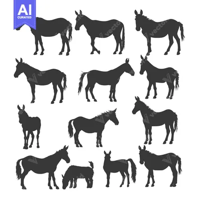 Premium design asset: Silhouettes of Donkeys in Various Poses