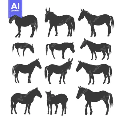 Aset premium populer: Silhouettes of Donkeys in Various Poses