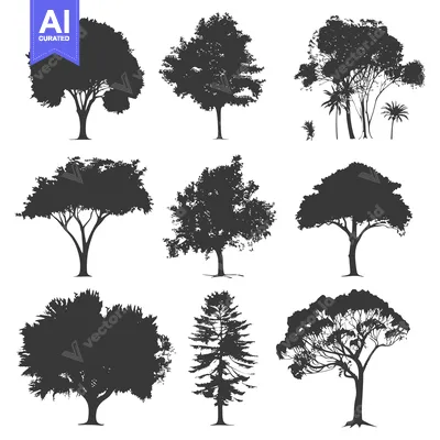 Silhouettes of Nine Different Tree Species