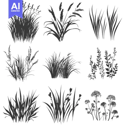 Silhouettes of Nine Different Types of Grass and Wildflowers