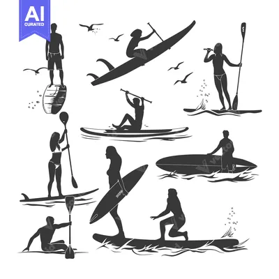 Aset premium populer: Silhouettes of People Paddleboarding and Surfing on the Ocean
