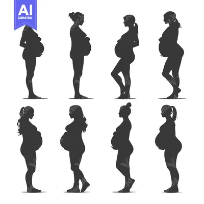 Aset premium populer: Silhouettes of Pregnant Women in Different Poses