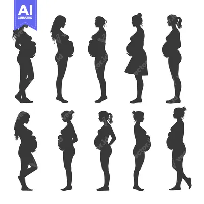 Aset premium populer: Silhouettes of Pregnant Women in Various Poses