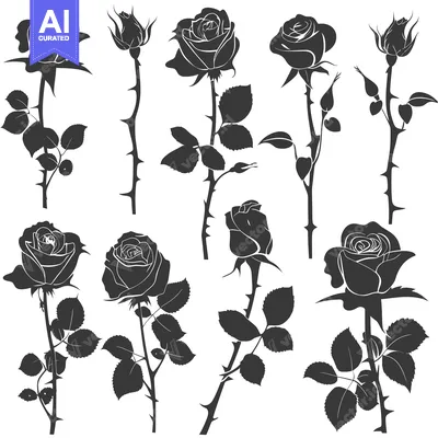 Aset desain premium: Silhouettes of Roses in Various Stages of Bloom