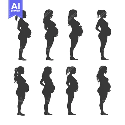 Aset premium populer: Silhouettes of Six Pregnant Women in Various Poses