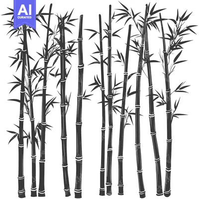 Silhouettes of Tall Bamboo Stalks with Leaves