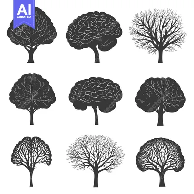 Silhouettes of Trees with Brain-like Canopies