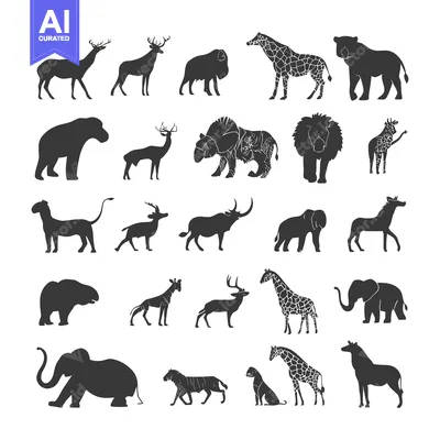 Popular premium asset: Silhouettes of Various African Wildlife Animals