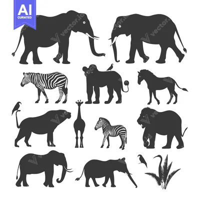 Aset premium populer: Silhouettes of various African wildlife animals