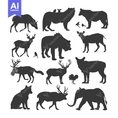 Silhouettes of Various Animals in a Standing Position